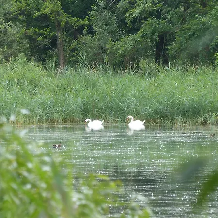 別荘 Jagdhaus Franz