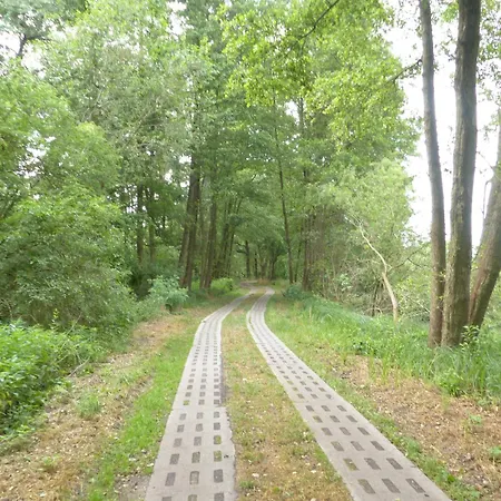 Jagdhaus Franz 別荘 *