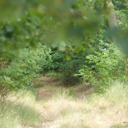 Jagdhaus Franz 別荘 レーニン