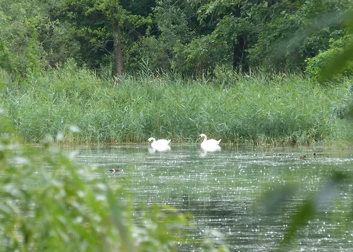 Ferienhaus Jagdhaus Franz