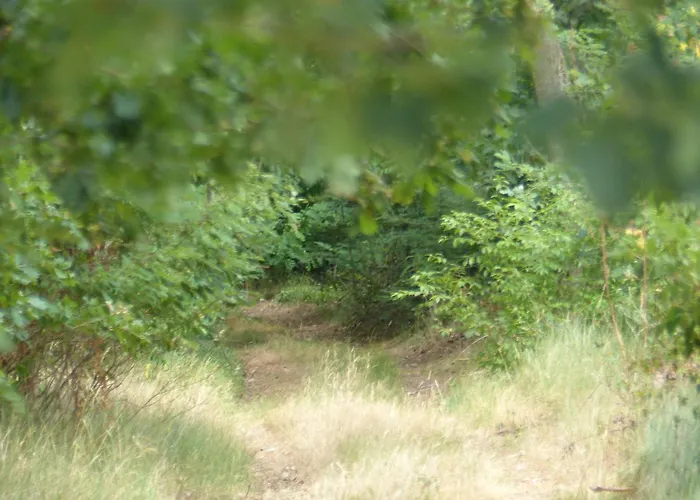 Jagdhaus Franz Ferienhaus Kloster Lehnin